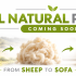 From Sheep to Sofa_ Natural Comfort